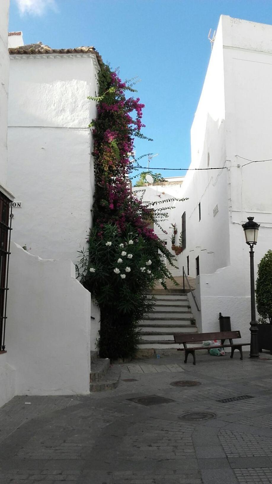 Casa Calle Alta Maria Bajo Vejer de la Frontera Buitenkant foto
